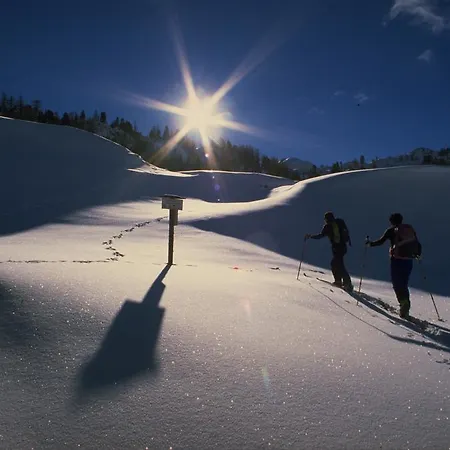Lägenhet Edelweiss Schladming