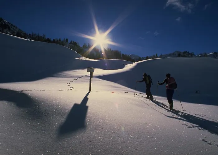 Appartement Edelweiss Schladming