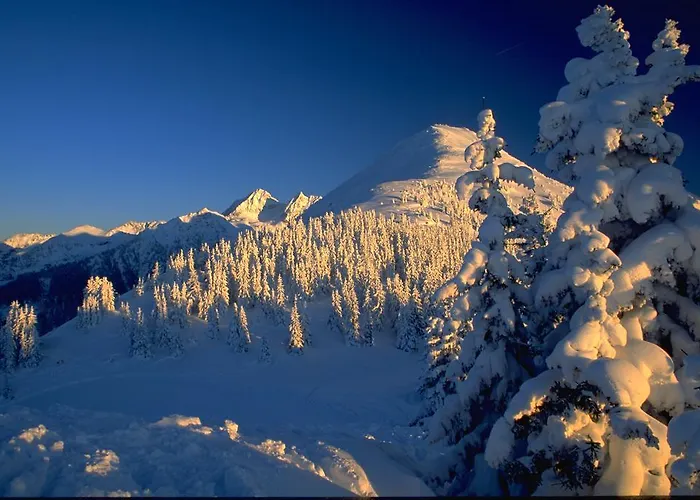 Appartement Edelweiss